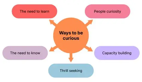 Read more about the article The Importance of Curiosity and Asking Questions: The First Step Towards Learning