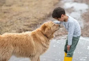 Read more about the article Learning to Respect Animals Helps Students Become More Compassionate and Responsible