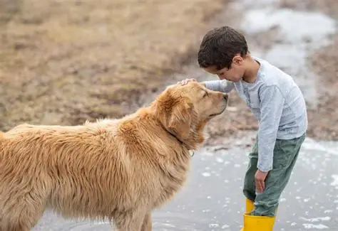 You are currently viewing Learning to Respect Animals Helps Students Become More Compassionate and Responsible