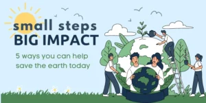 Read more about the article The Importance of Environmental Responsibility: Small Actions, Big Impact