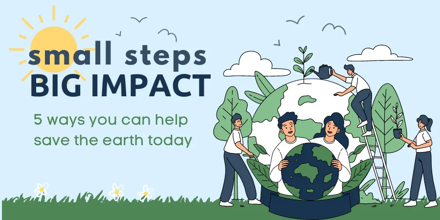 Read more about the article The Importance of Environmental Responsibility: Small Actions, Big Impact